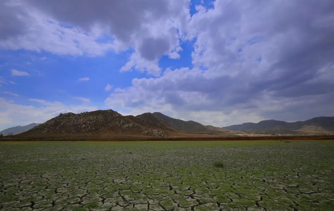 吉林白城旱灾
少雨风沙大的简易
推荐
