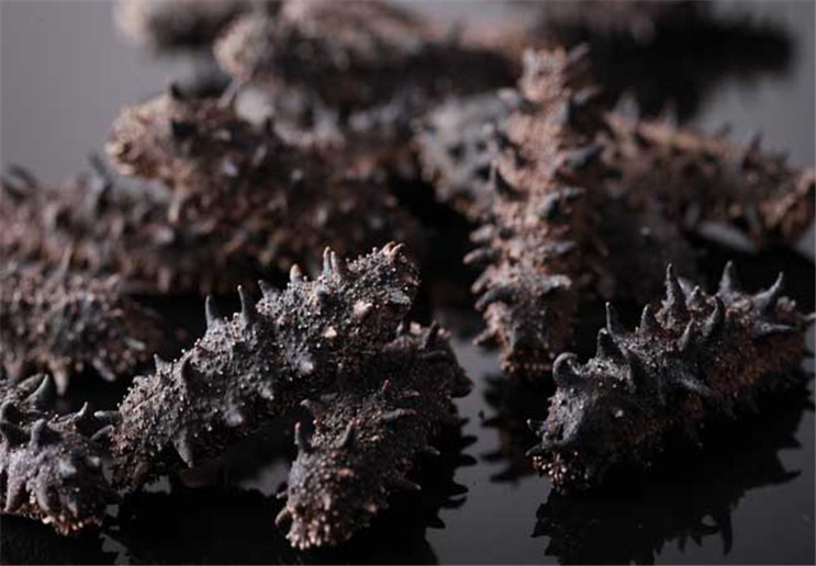 海篸- 优质问答专区