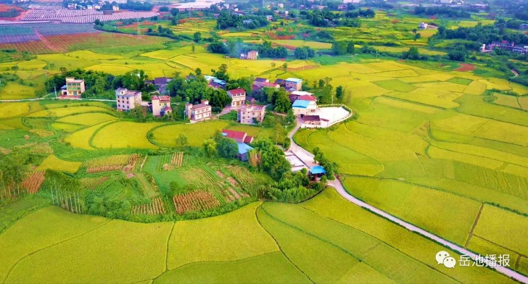 大美岳池,四季美景,给你一个爱上岳池的理由!