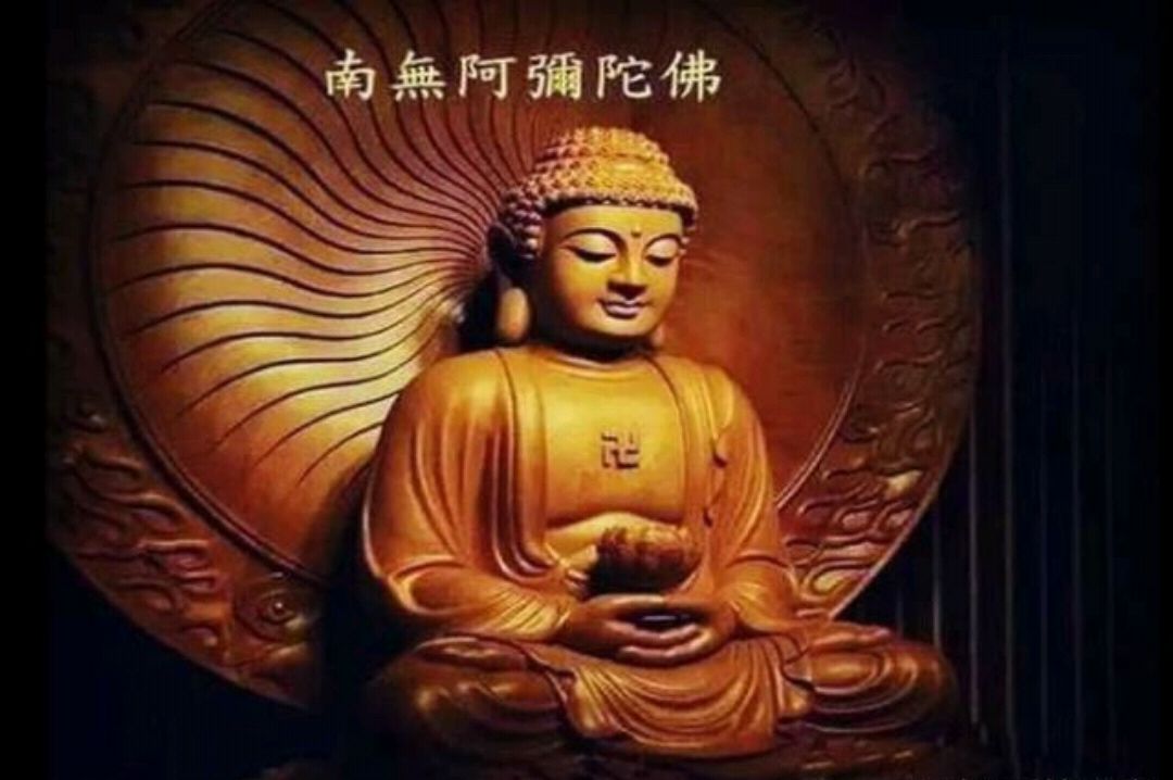 《法华经》里的四句精华,读的越多,开悟越快!