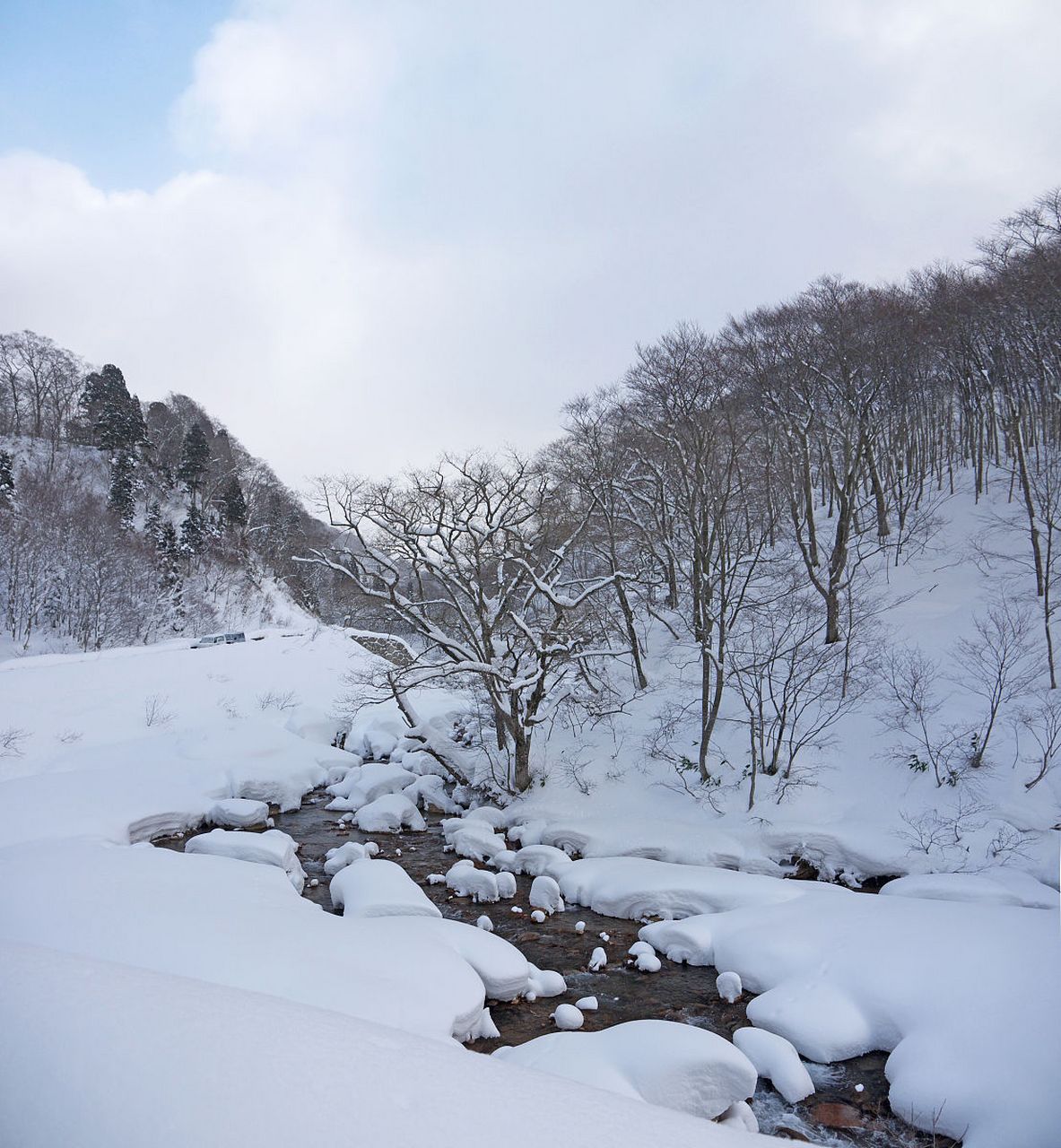 仙女山下雪的图片图片