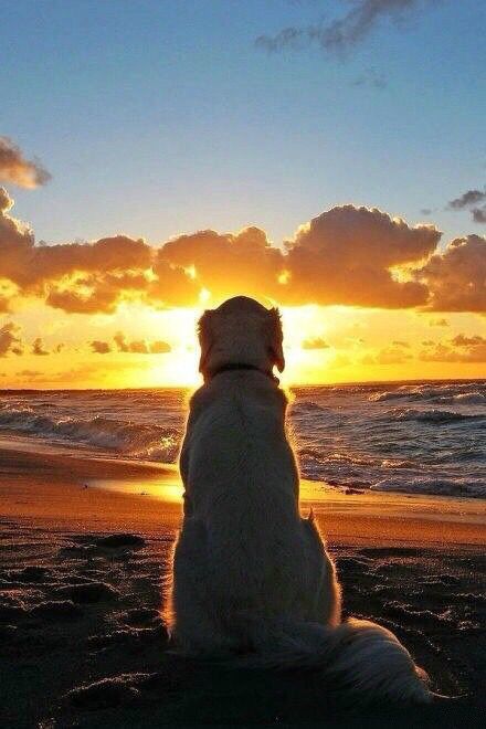 内心孤独的人怎样正确面对孤独?