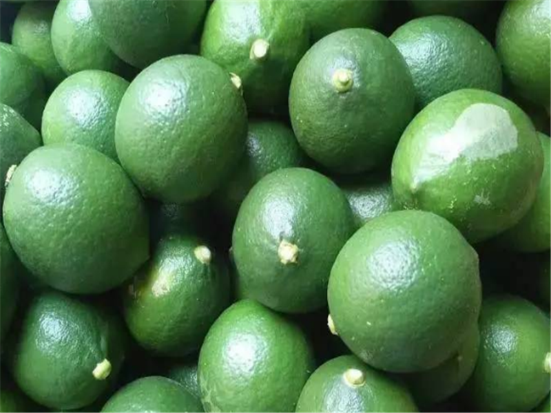 口感酸涩的柠檬,它的功效与作用,以及种植技术