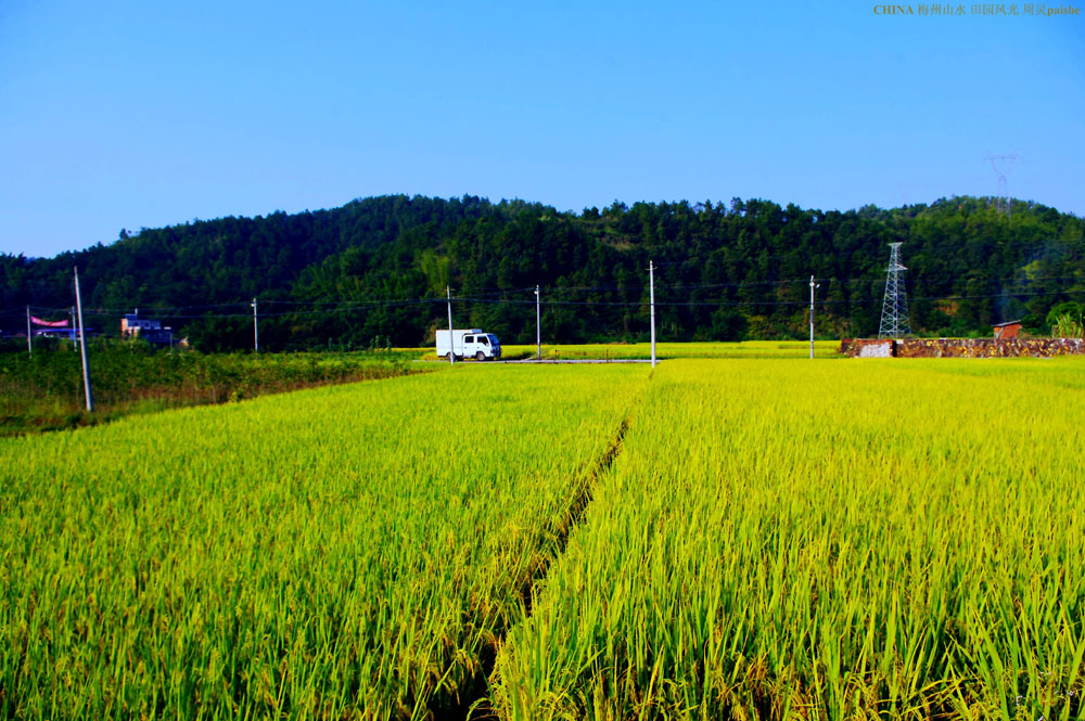 老人没有儿子,而女儿又出嫁了,老人去世后,田地归谁?
