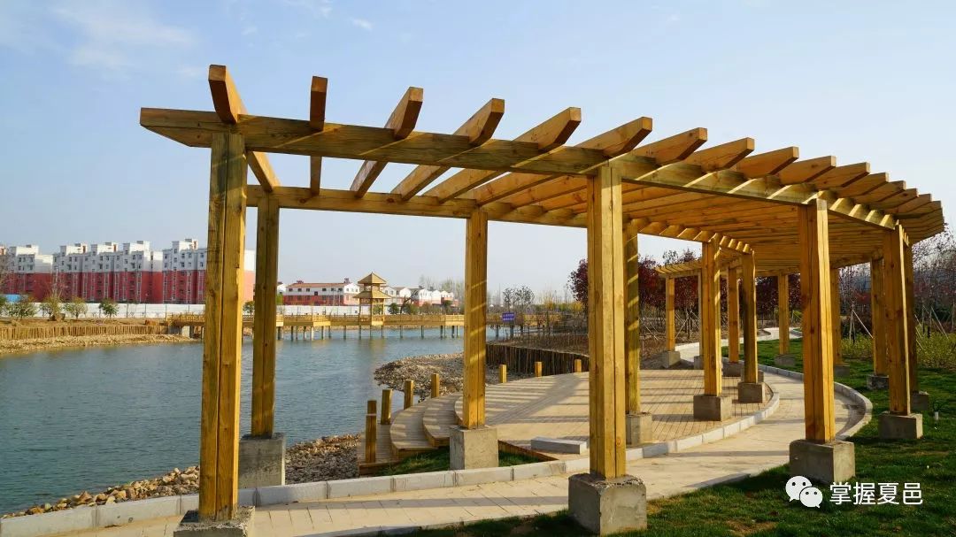 夏邑又多一处美景,有山有水,还有花!