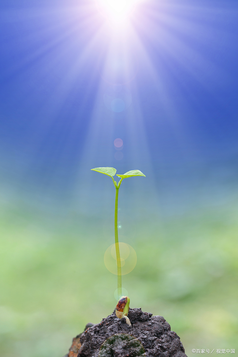 沪深两市14000多亿成交额无论从体量还是结果有没有可能再次形成