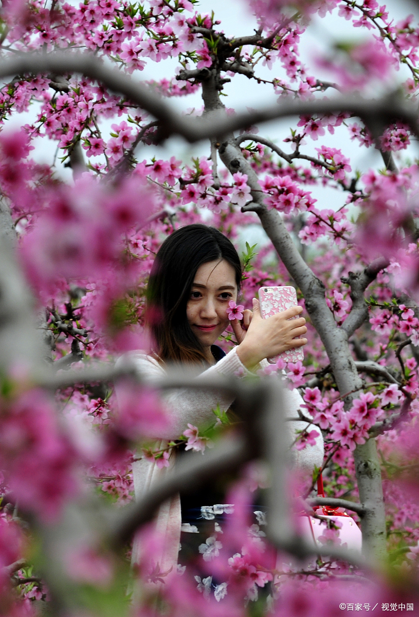 留取东风为夜客, 桃花已作雪花飞. 轻拍门扇戏屋主, 梦里佳人含笑归