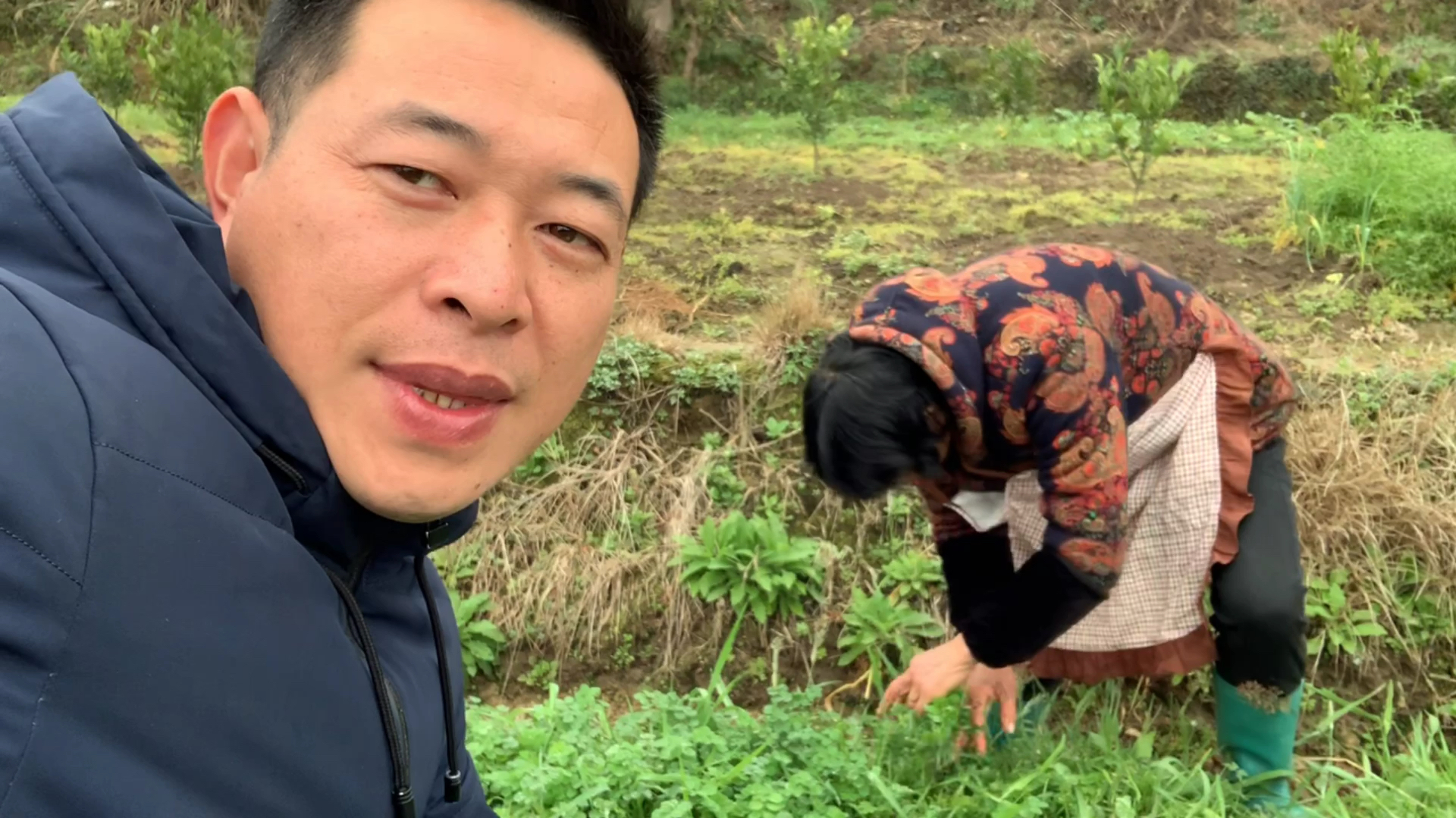 小伙子和老妈在农村的田间摘草炒年糕吃,味道好极啦