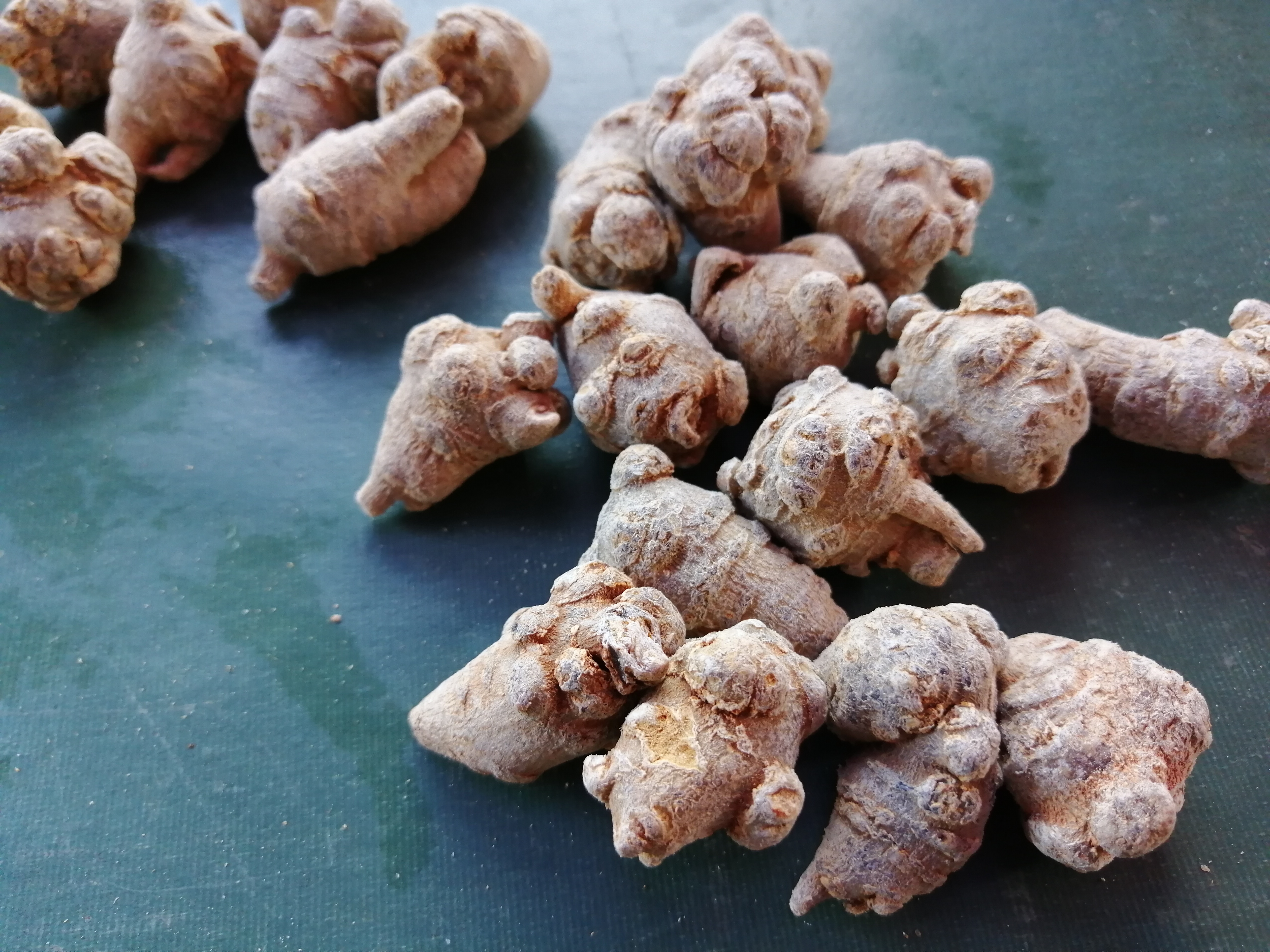 三七有几百年的应用历史,北人参南三七体现了三七功效和人参一样神奇!