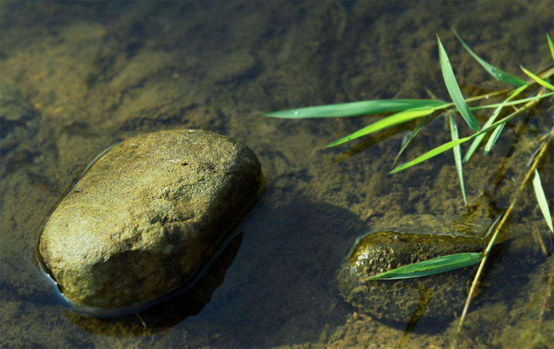 水清无鱼的出处,释义,典故,近反义词及例句用法 - 成语知识