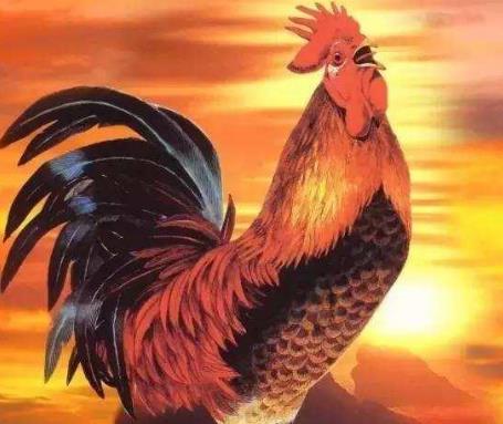 西游记中,毗蓝婆菩萨与她的关系,竟要追溯到上古时期