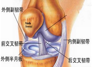 膝盖内侧疼是怎么回事图片