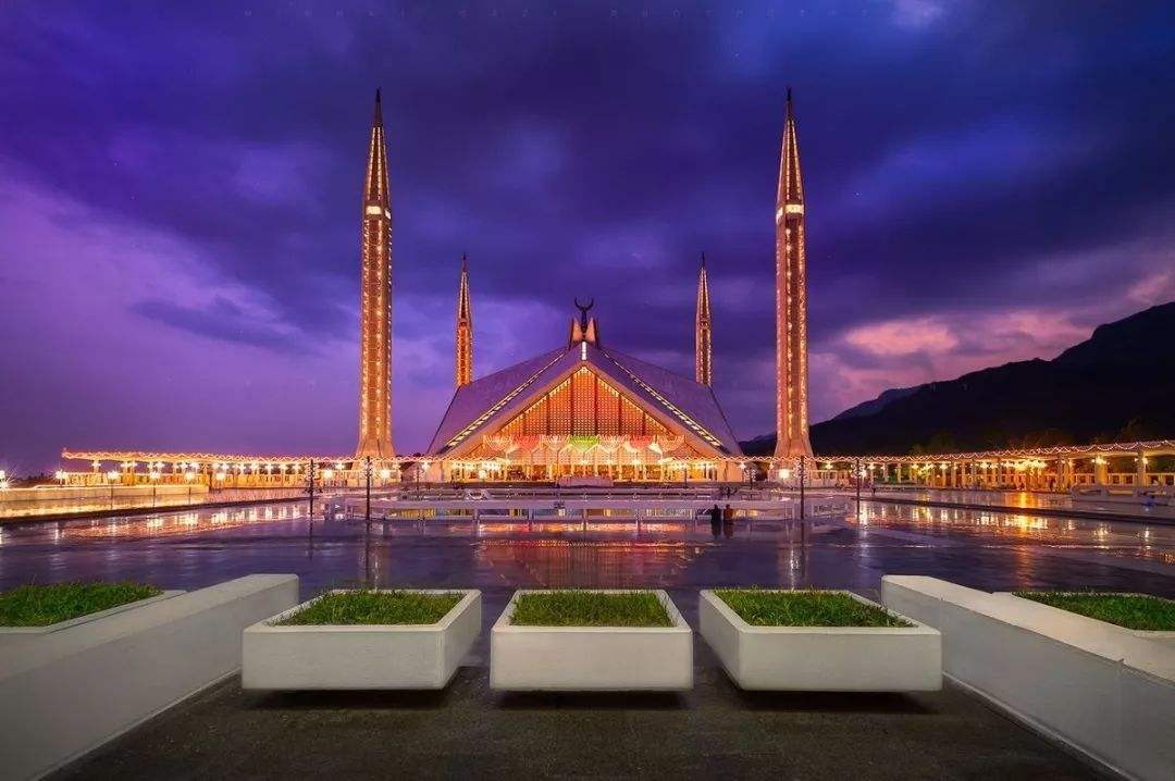 茫茫戈壁到绿树成荫,瓜达尔港蜕变成"蚂蚁森林"的艰辛之路