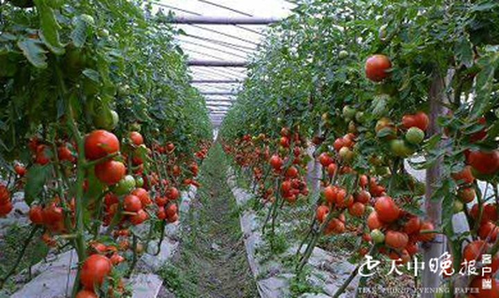 热门致富门路100条图片大全(热门致富门路100条图片大全集)