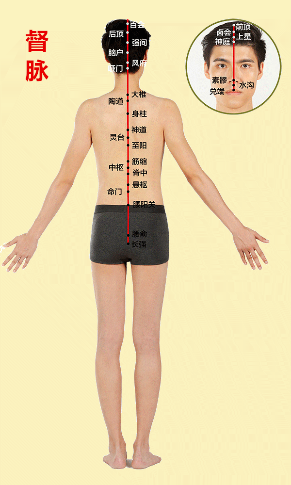 身体上有12条经络?在哪里?附带高清图,通俗易懂
