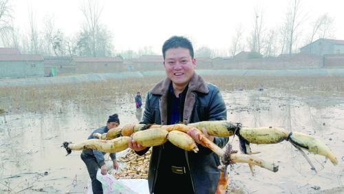 脱贫攻坚丨聊城市优秀退役军人杨本凯带领村民脱贫致富