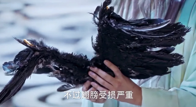 斗破苍穹:紫云翼为何变成鸡翅膀?网友:直接开喷还是走程序?