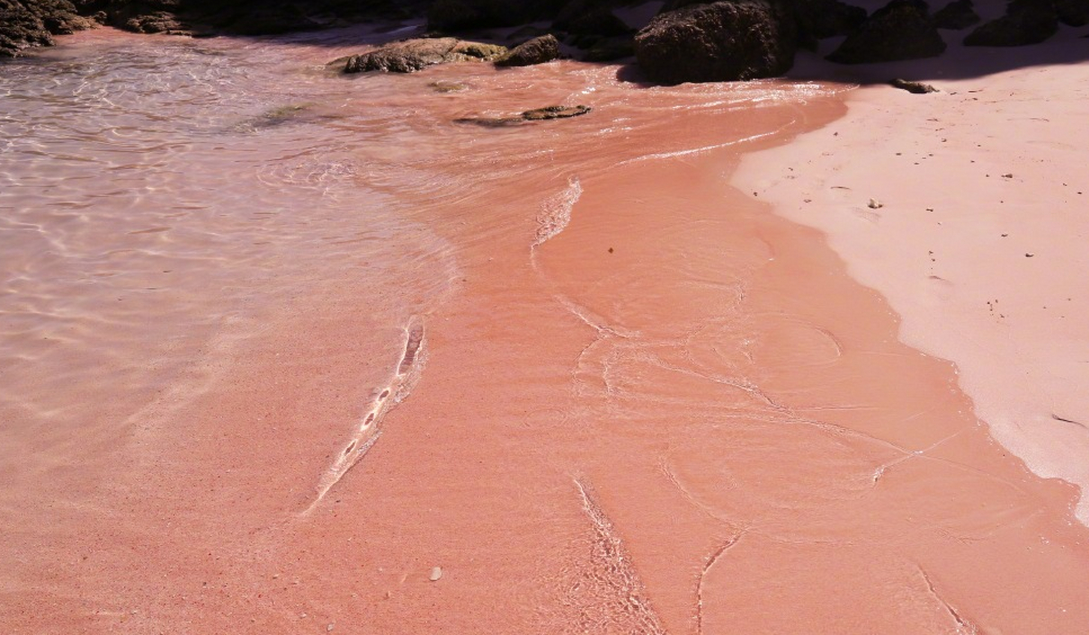 印度尼西亚科莫多岛的粉红沙滩,水清沙幼,粉色沙砾.