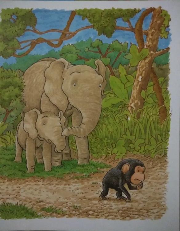 一个关于爱的抱抱绘本故事《抱抱》