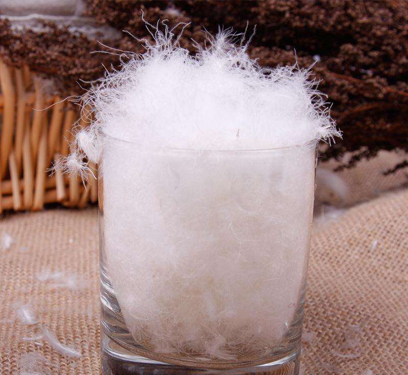 鹅绒- 热门商品专区