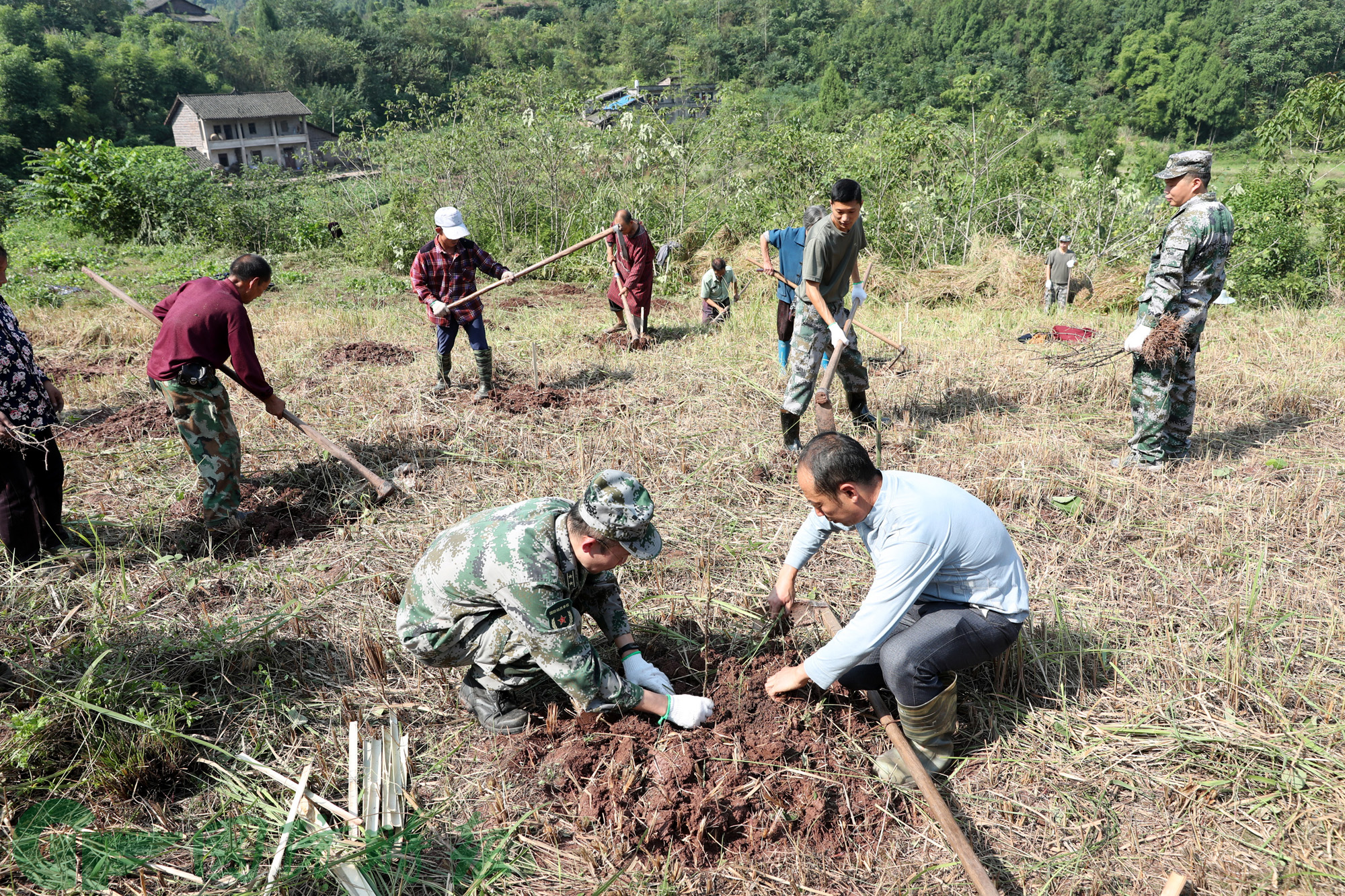 广安区人武部:军地联动 开荒种树