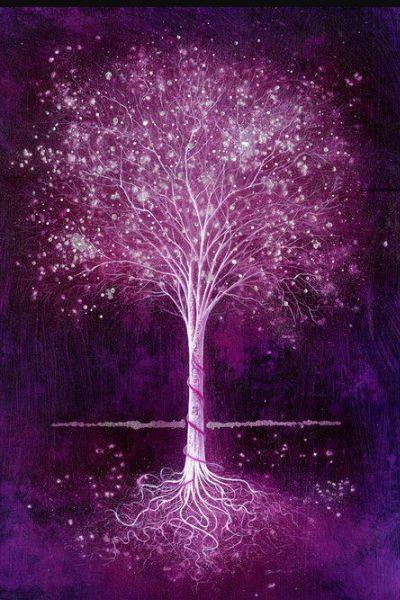 神奇的树木,会发光的"魔树"