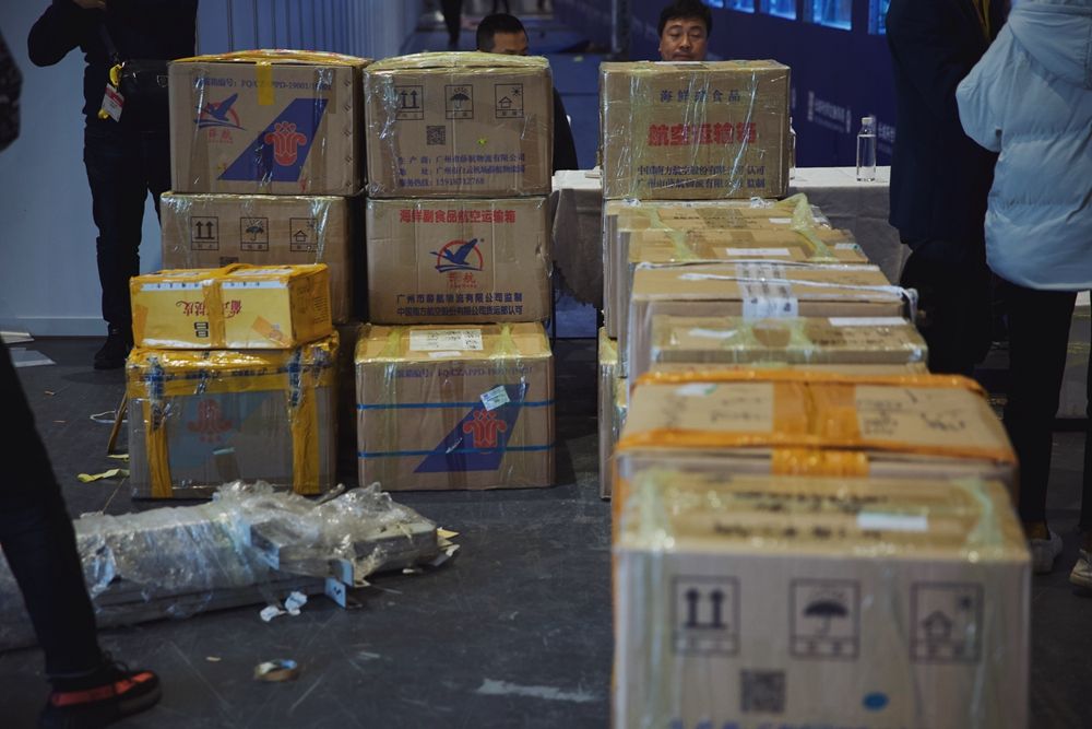 又整容又选美,一条龙鱼的"封神"之路