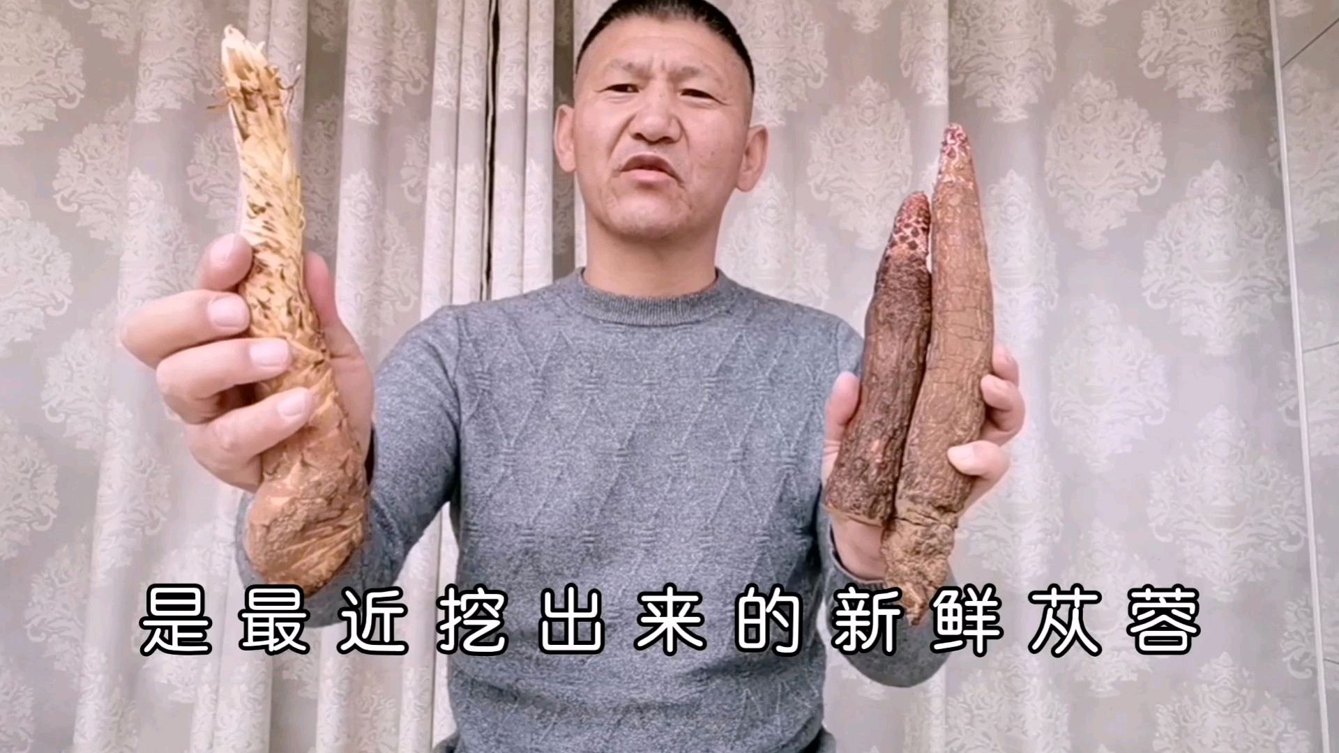 沙漠里的苁蓉和锁阳长的啥样?削皮切片食用更干净方便