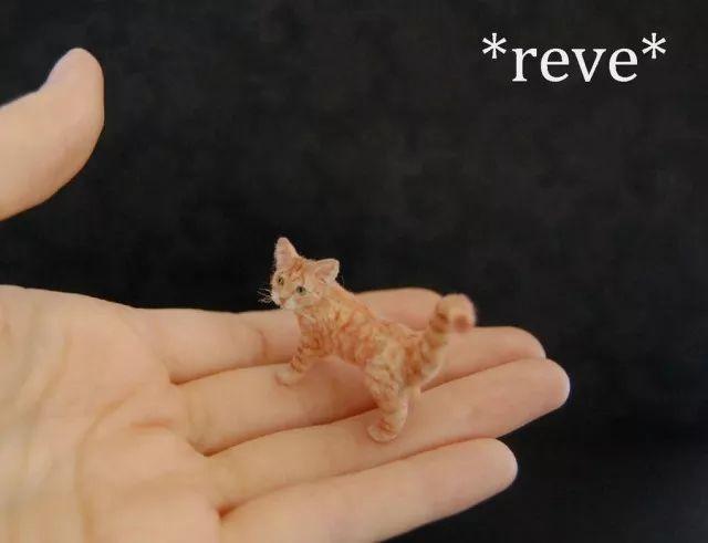 这些比手指还要小的小动物!简直要把我萌化啦!