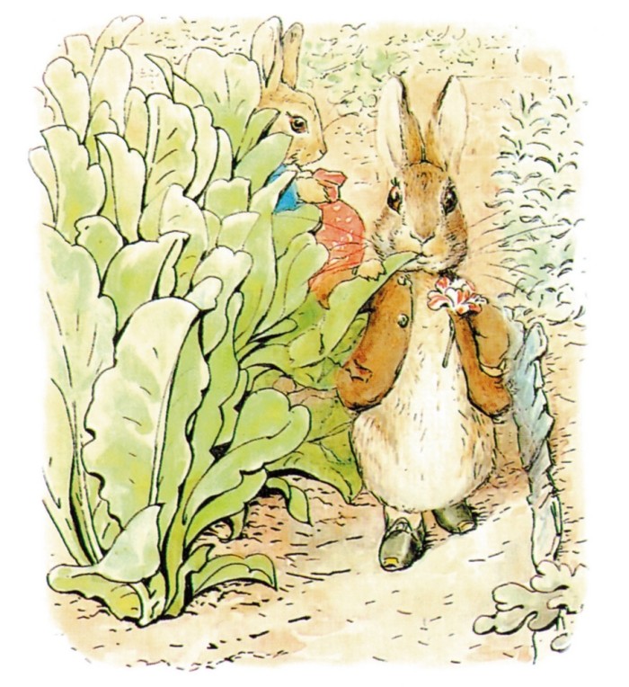 最美插画:你还记得彼得兔吗?它就像童年时的你一样淘气又可爱