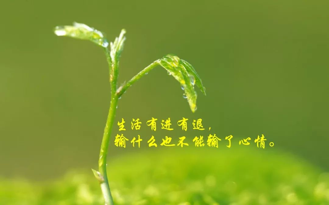 2019最美的一句话正能量心灵鸡汤语录