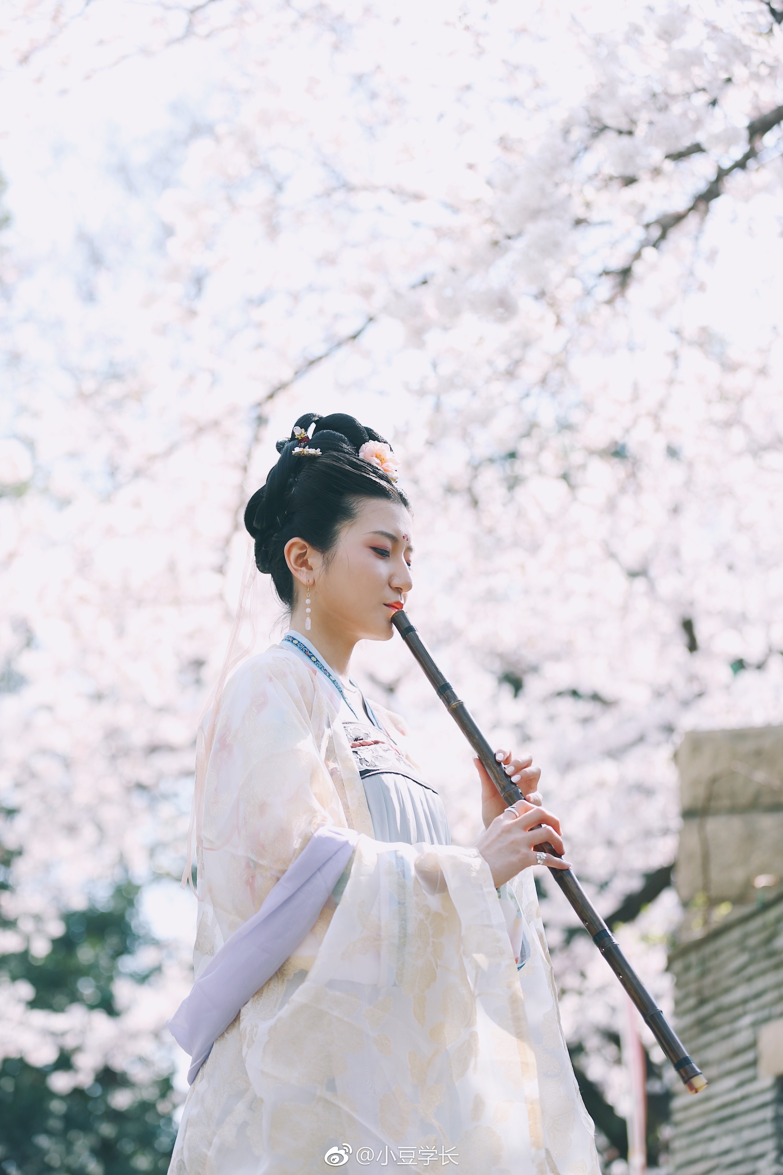 穿汉服游东京,一路人引来各路游客注意,完美融于樱花