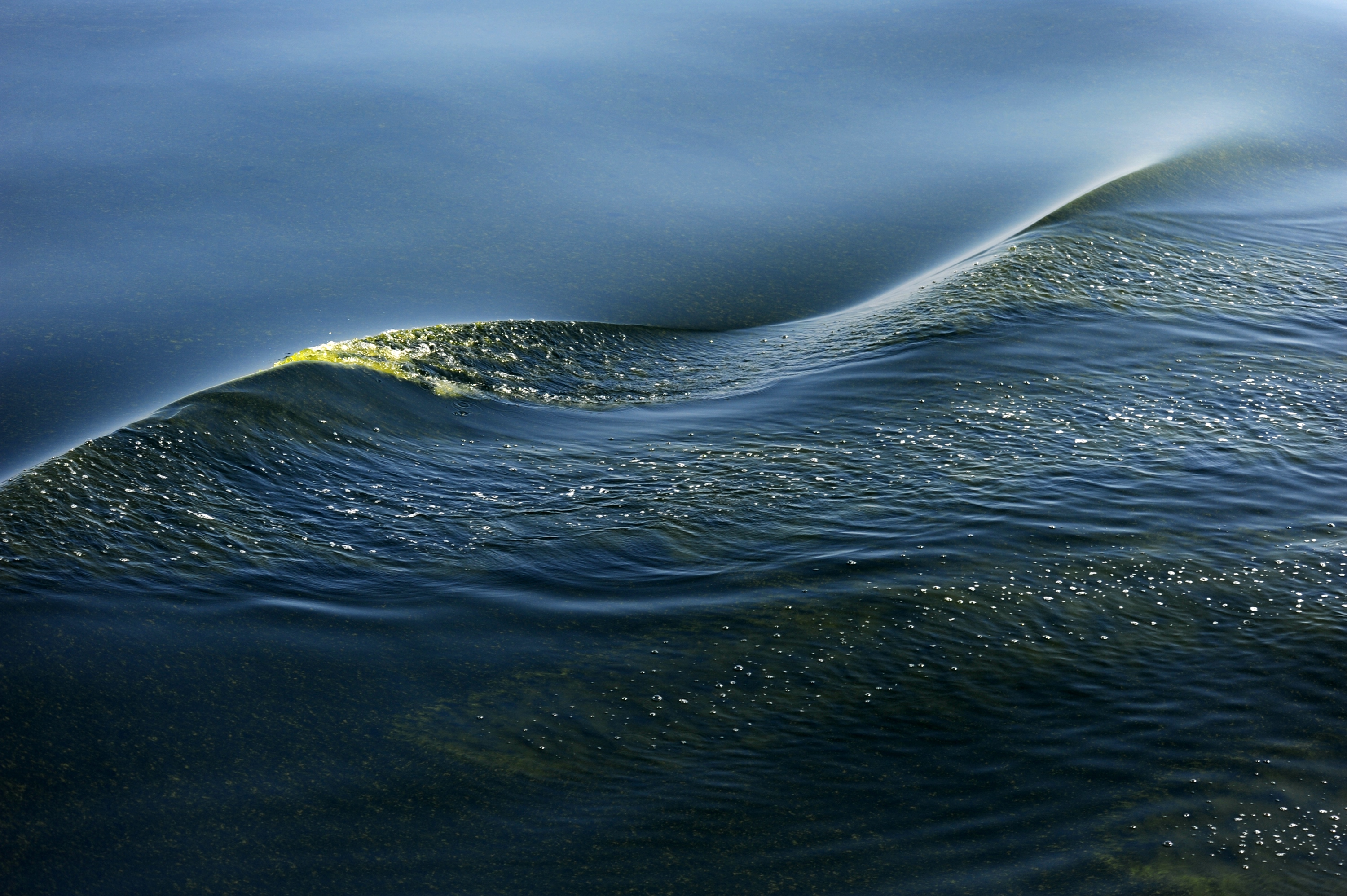 (科技)(1)莫克兰海沟现藻华现象