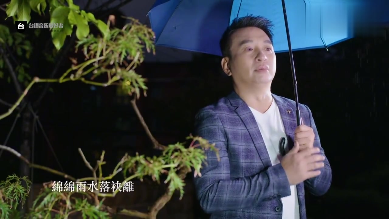 [图]闽南歌《今夜又是落雨暝》王中平