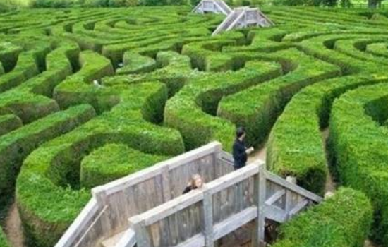 全球最可怕的6个迷宫花园,进去容易但也许出不来
