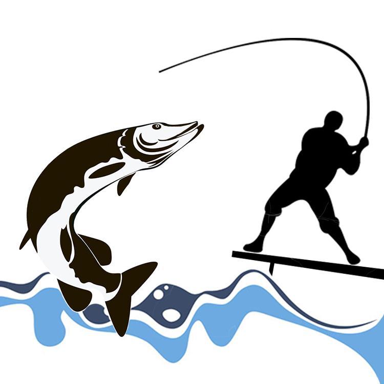 爱钓鱼的老葛百家号