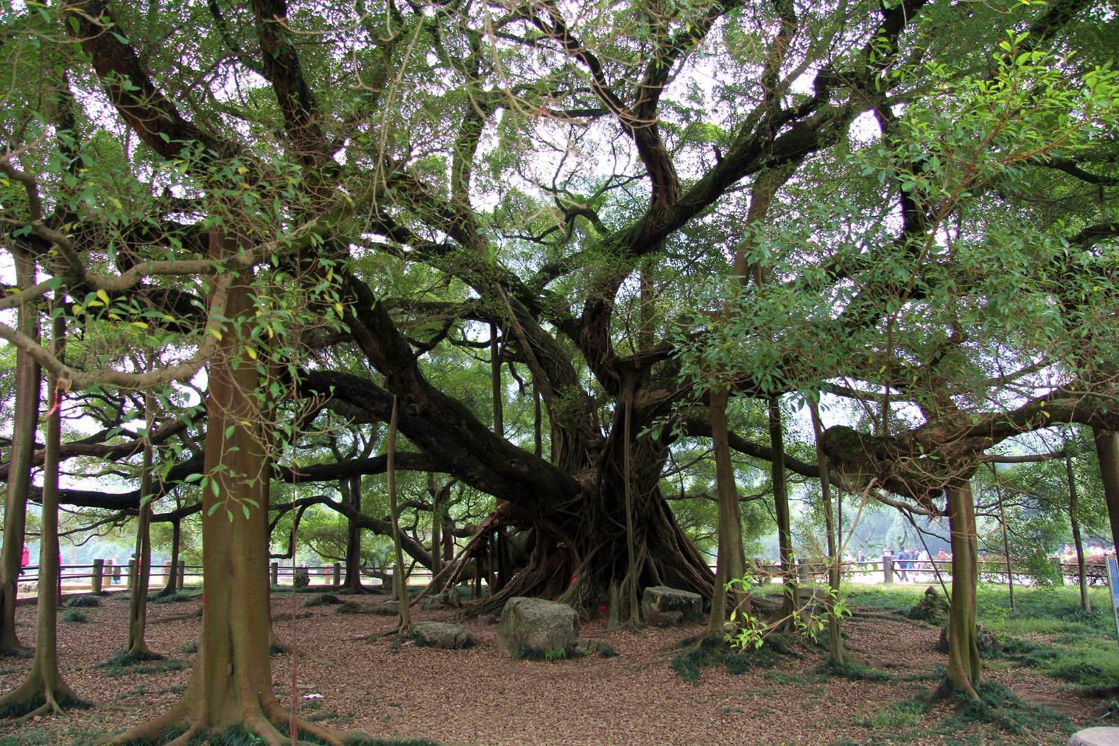 除了北京市玉渊潭,北京市石景山八角游乐园,票价便宜的知名风景区原来