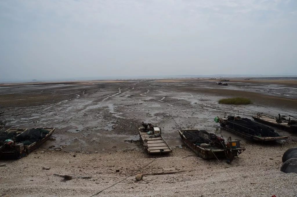 "英雄三岛"大嶝岛,61年前的战地红花,至今还格外妖娆