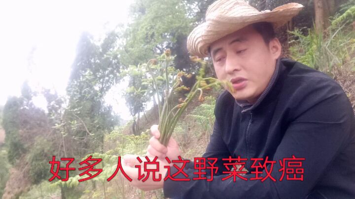 农村人经常吃的野菜,网上说有毒,你们吃过吗