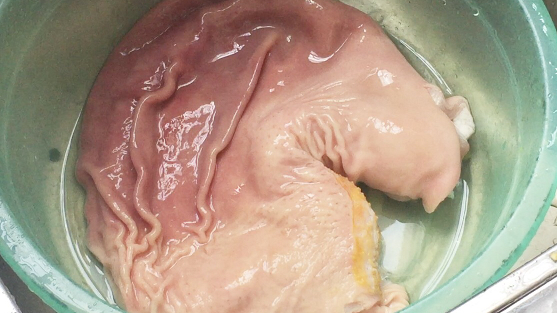 猪肚汤,江西人就爱这样做,营养滋补,孕妇喝了宝宝肠胃好