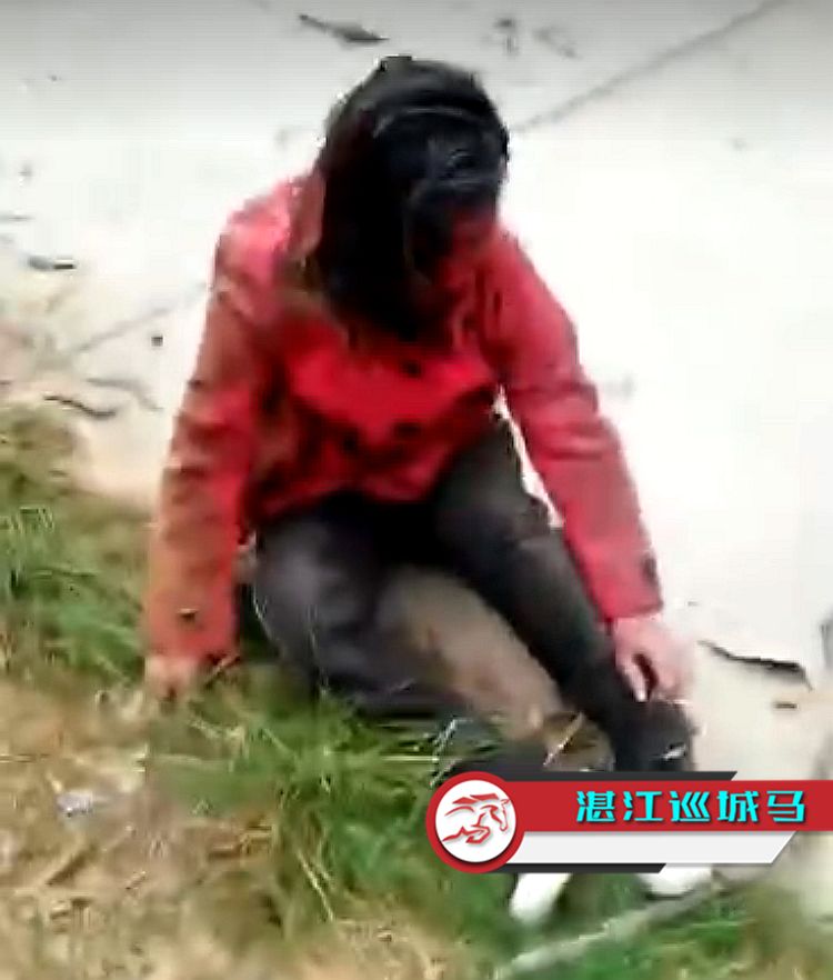 痛心!湛江某农村一小女孩被狗咬成浑身都是伤