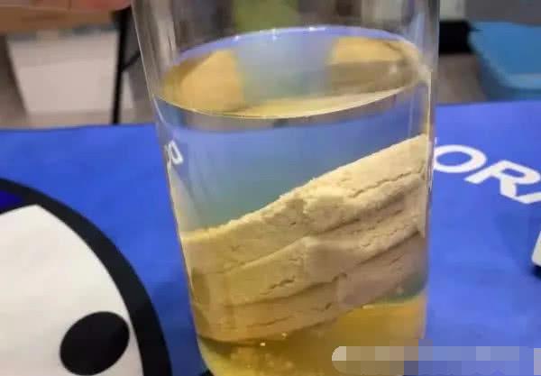 压缩饼干为啥能耐饿?放入水中泡12小时,网友看到:不可思议!
