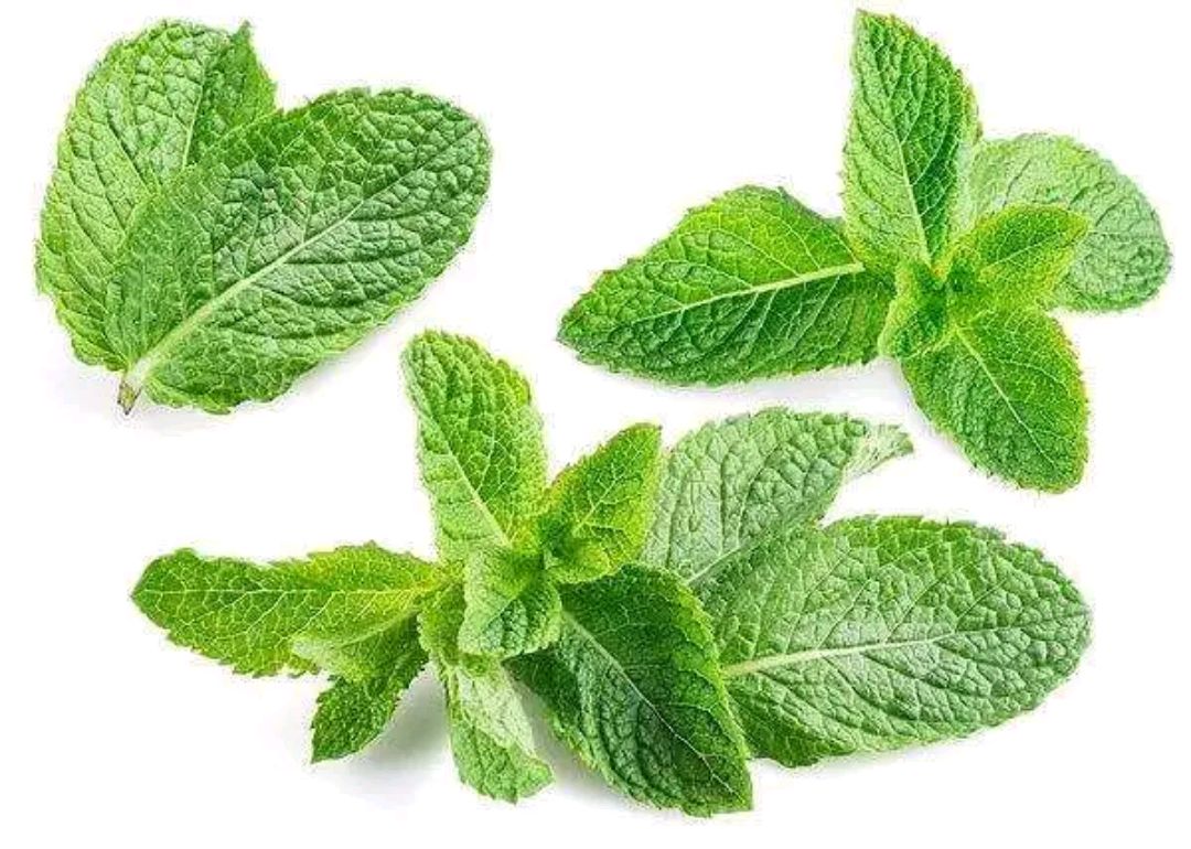 烧仙草,奶茶控看过来