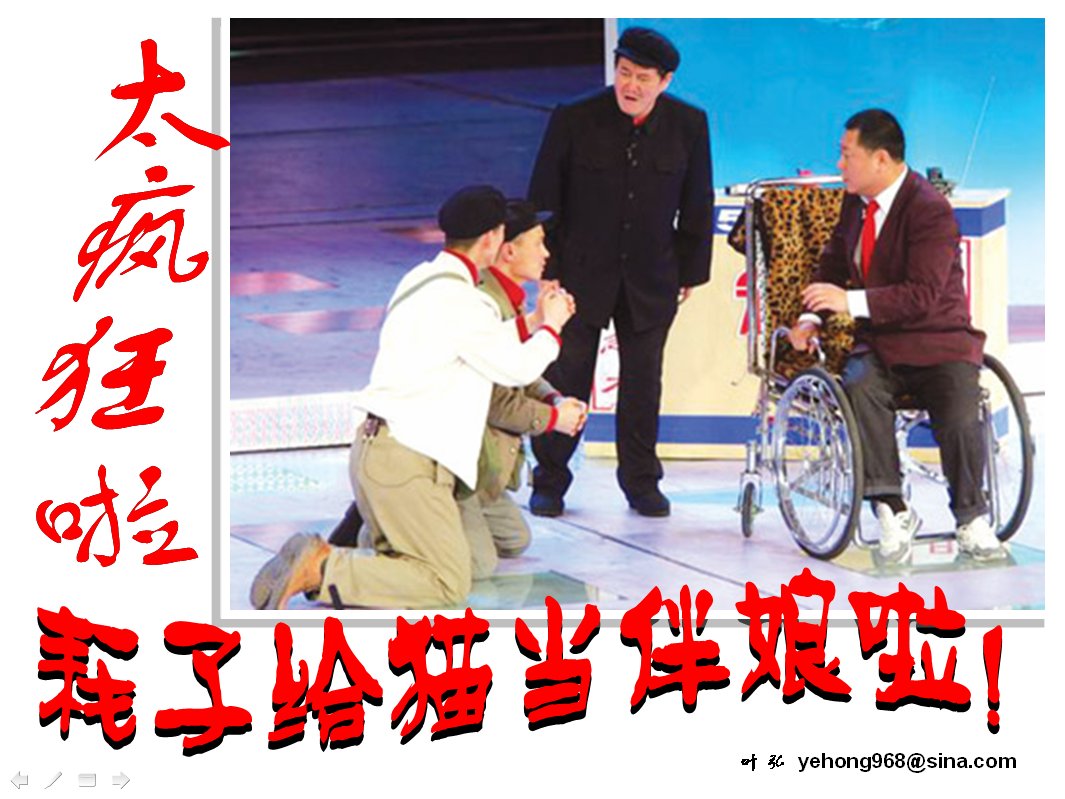 "这世界太疯狂啦,耗子给猫当伴娘啦!