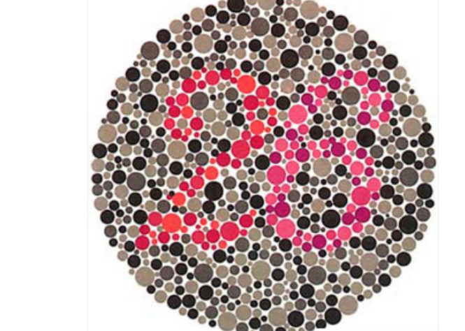 考驾照的5张色盲图,很多人在第四张就懵了,啥也看不出来