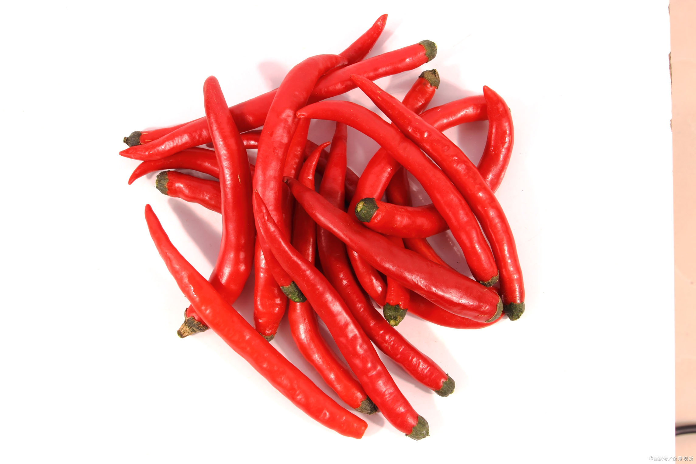 百度爱采购首页 商品专题_朝天椒朝天椒是目前辣椒品种比较备受关注的