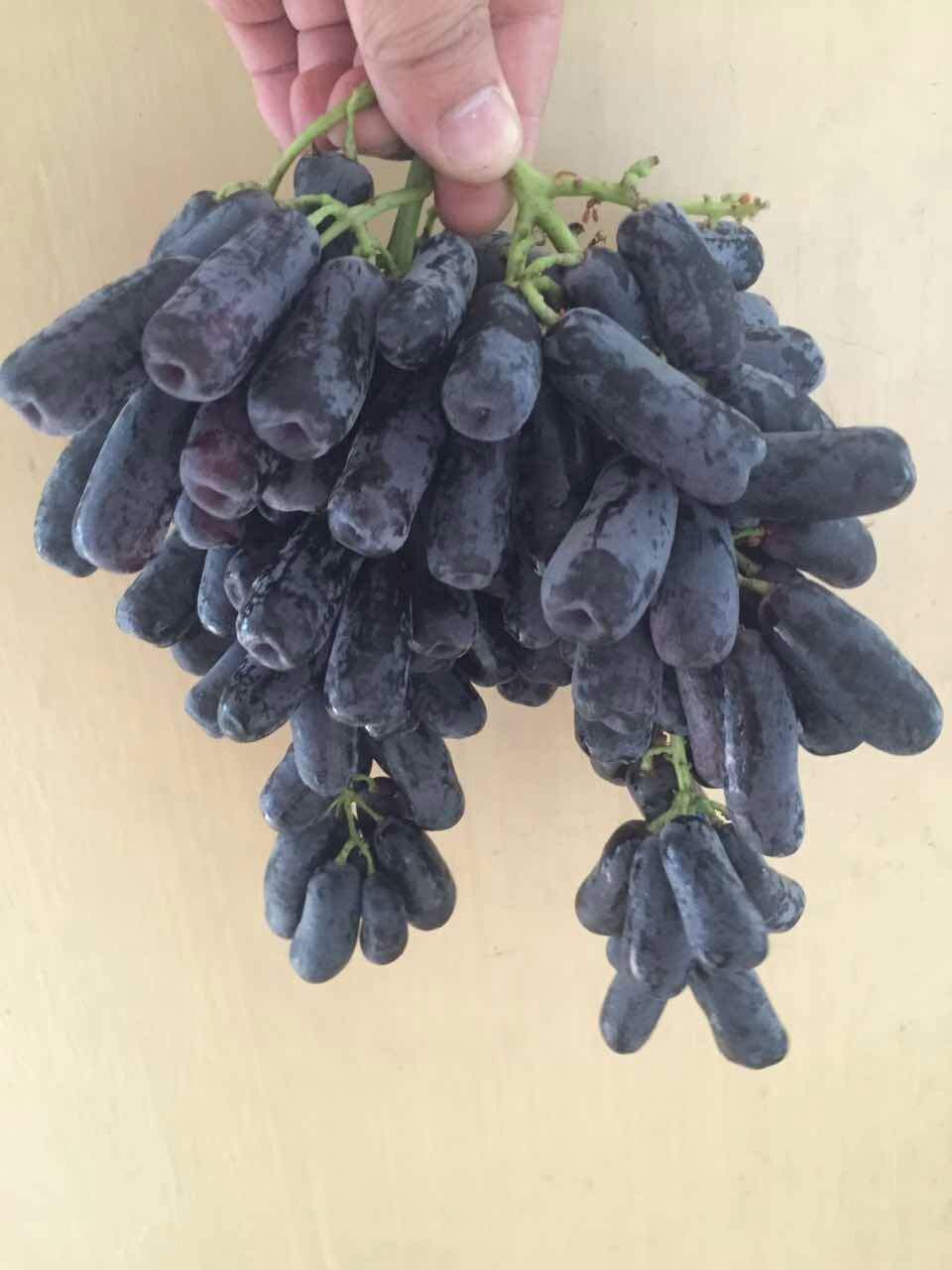 无籽葡萄是转基因生产吗?有没有危害?