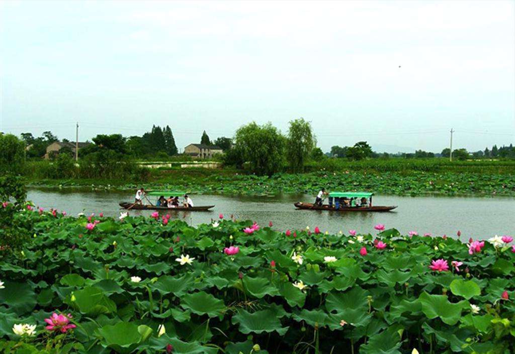 江南水乡田园乡村风情