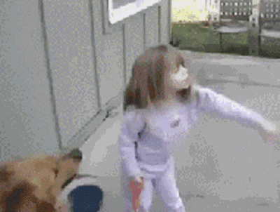 爸爸正在盘算着晚上喝狗肉汤