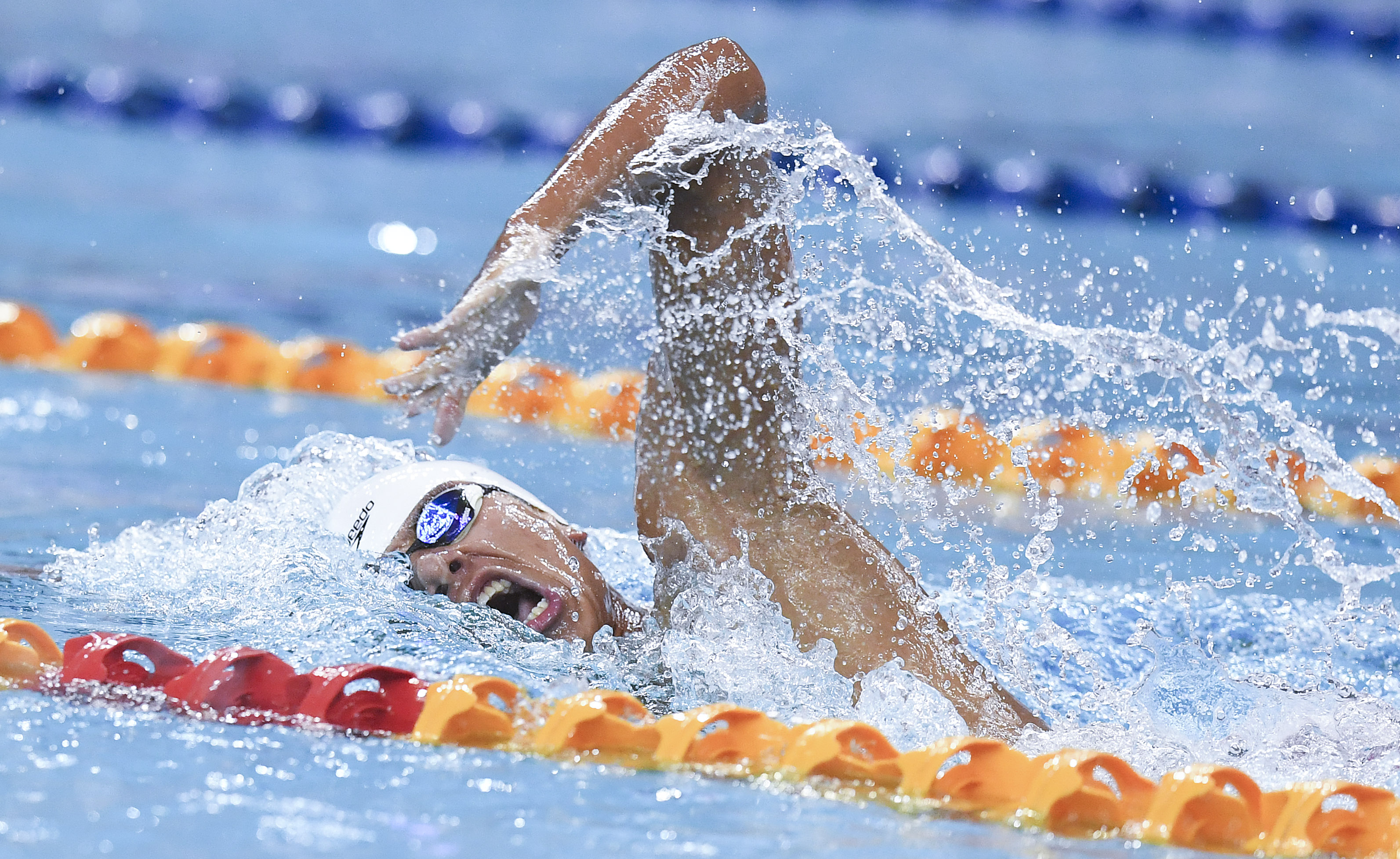 游泳——短池世界杯北京站:季新杰获男子400米自由泳冠军